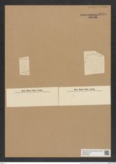 Asterolampra sp. (de-Toni-Nr.: Genus 235) Zeichnungen Sammlung Grunow Nr. 9670 (NHMW-BOT-W0379606)